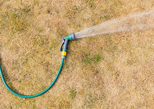 Diagnosing Heat Stress On Your Lawn Lawn Damage Weed Man