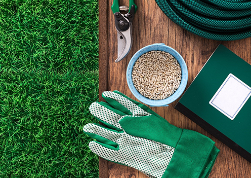 Grass with Lawn Care Tools