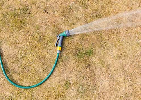 Dry Lawn with Hose