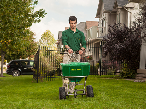 Weed Man technician fertilizing green lawn