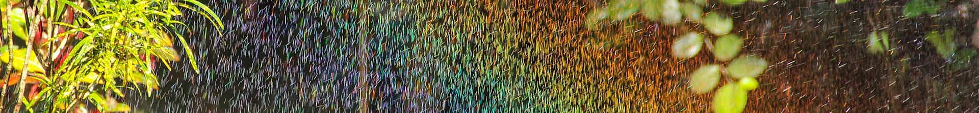 Rain Droplets with Rainbow