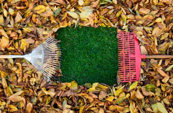 Enlever les feuilles d'automne de votre pelouse 