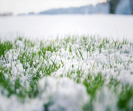Winterizing your lawn