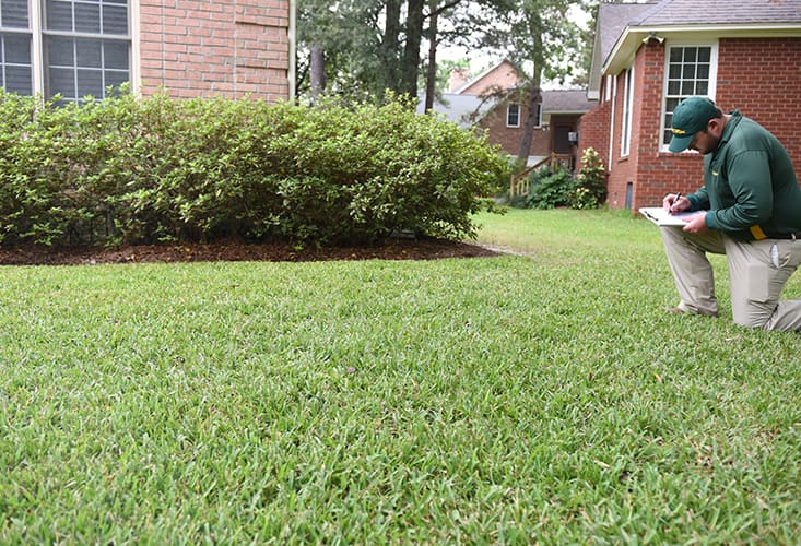 Lawn Care Services in Alexandria, VA | Weed Man