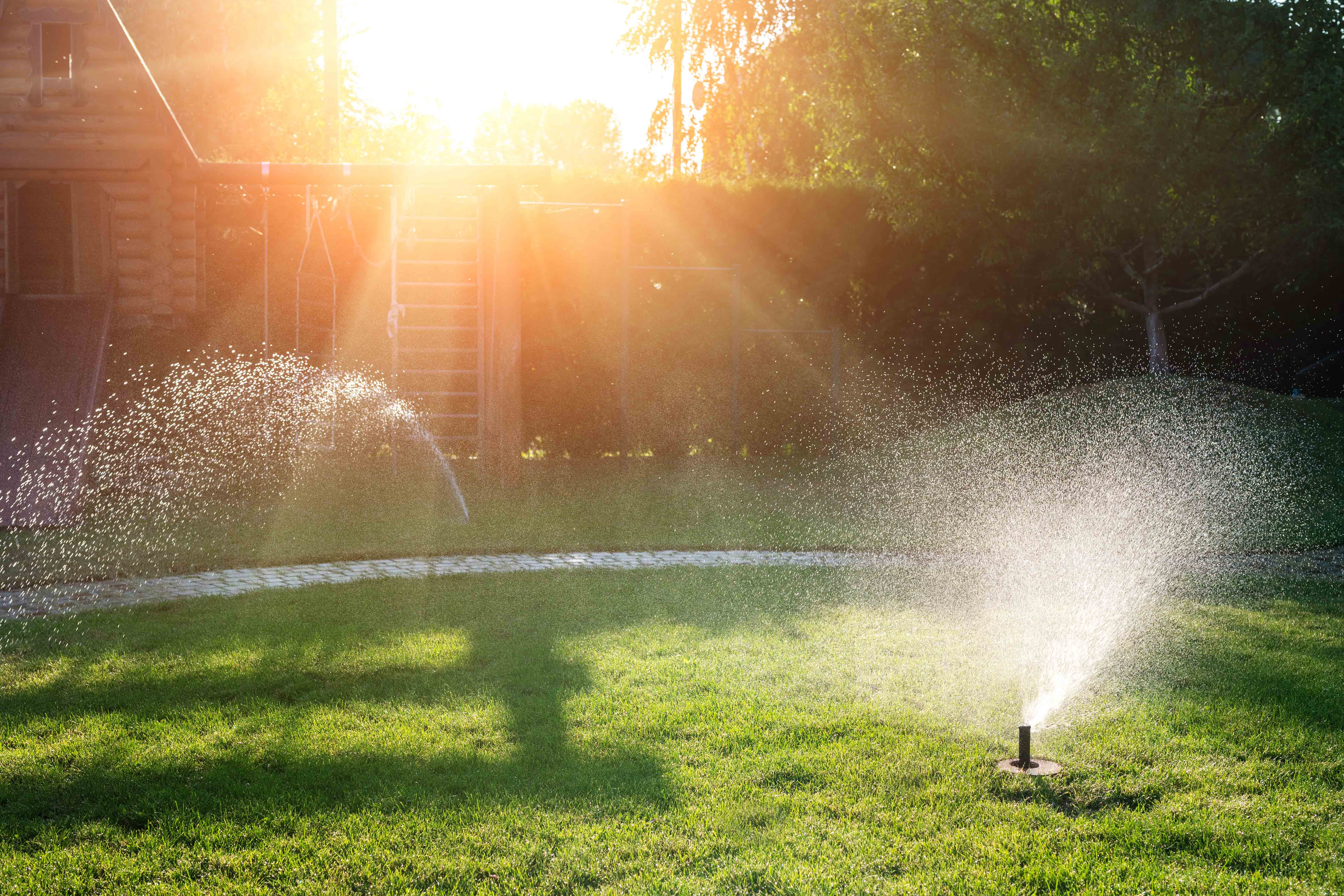 Lawn watering 2024