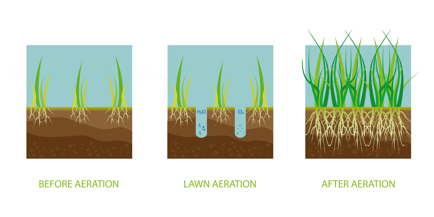 core aeration method