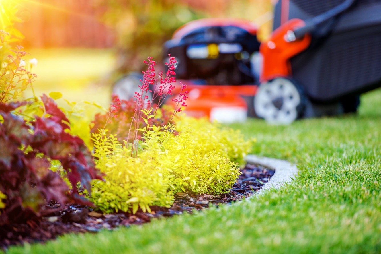 Cut & Grow Lawn Service