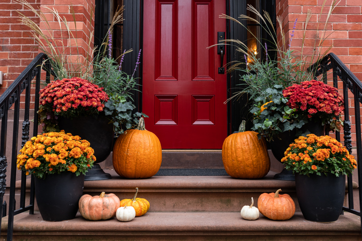 pumpkins and mums on porch