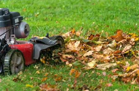 lawn-mower-and-leaves
