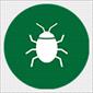 Weed Man's Surface Insect Control