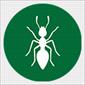 Fire Ant Management
