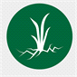 Crack and Crevice Weed Control