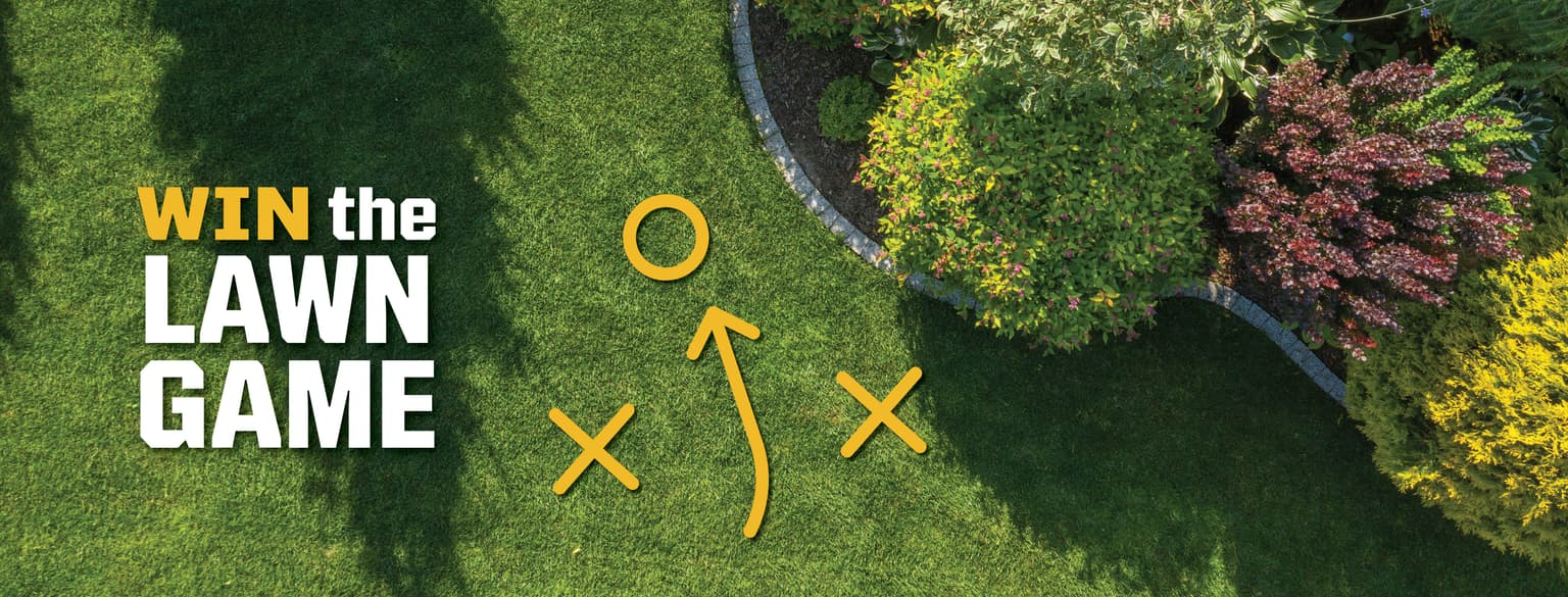 Call the Right Play: Why Hiring a Lawn Care Pro Is the Ultimate Power Move