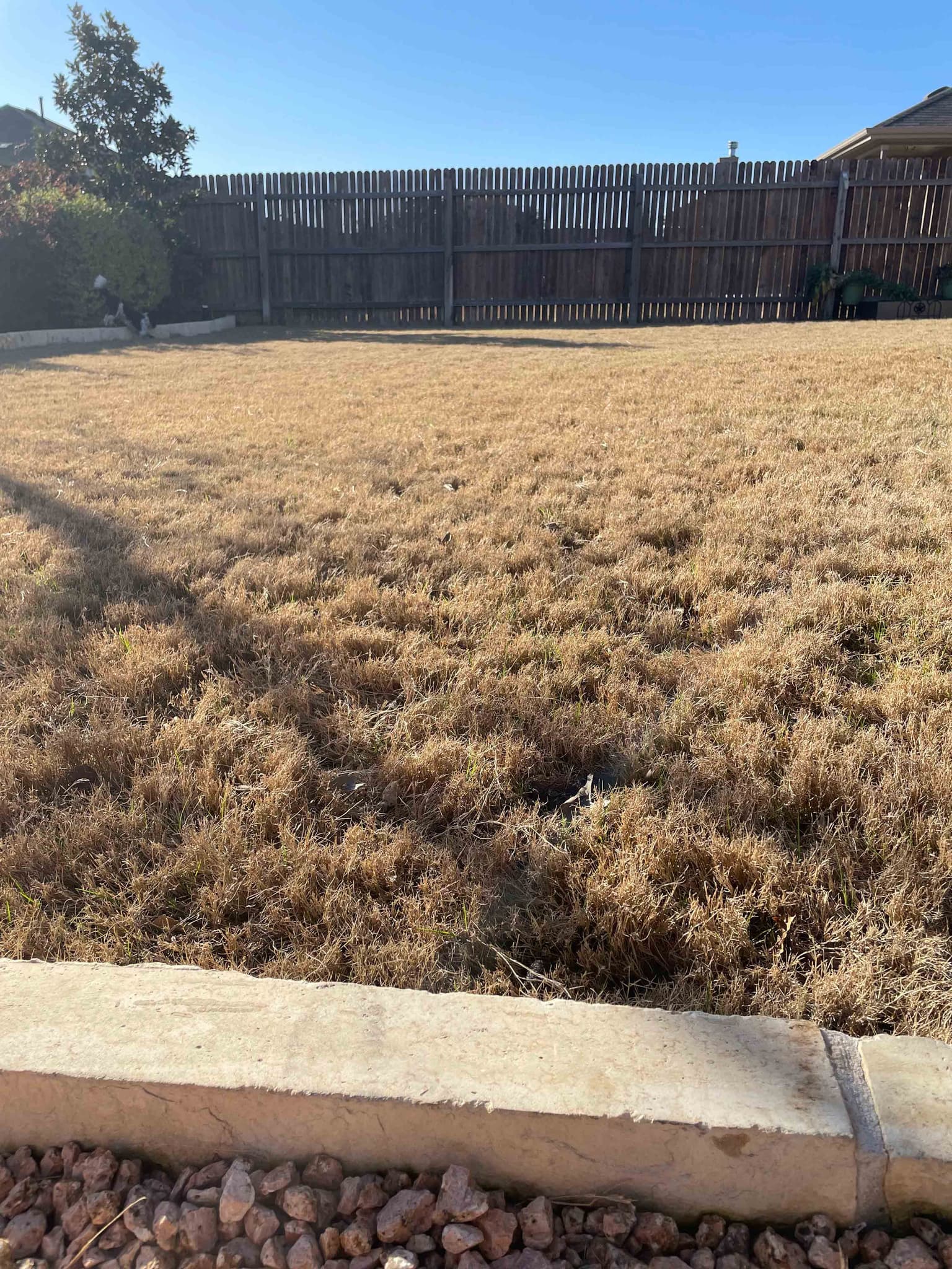 Daylight Savings Time & Your Spring Lawn | Turf Talk With Dr. Brad