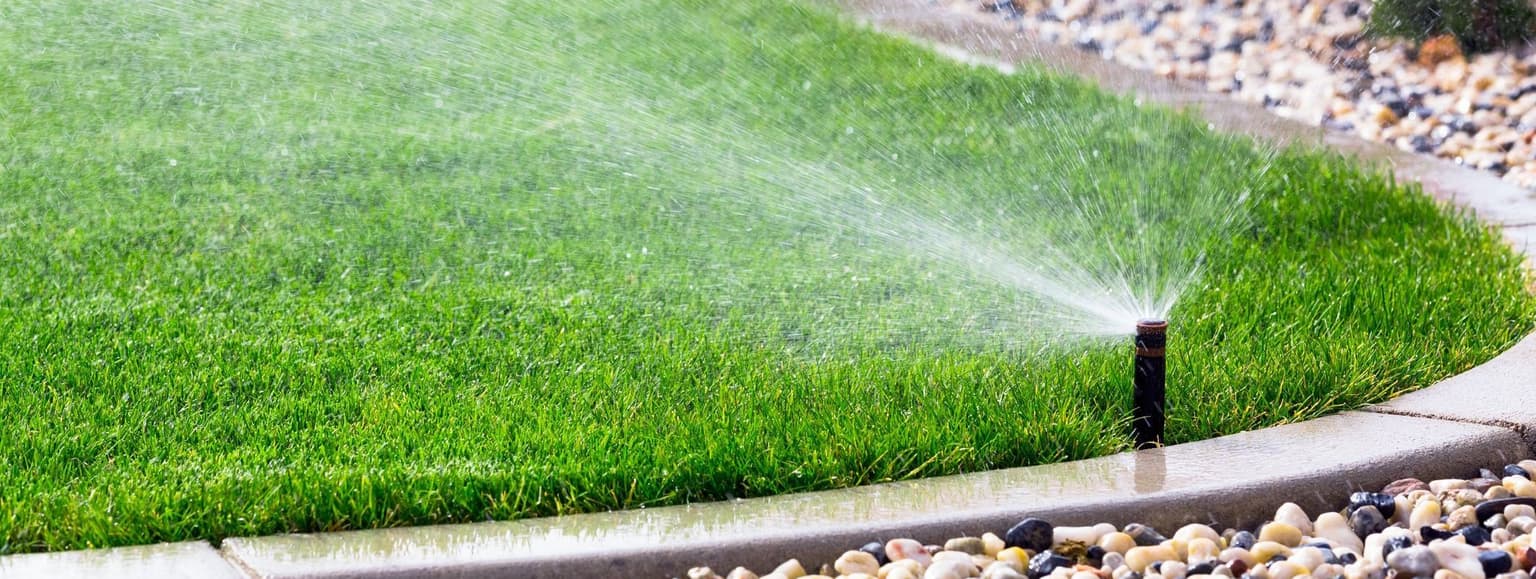 Watering Instructions After Overseeding - Resource Image