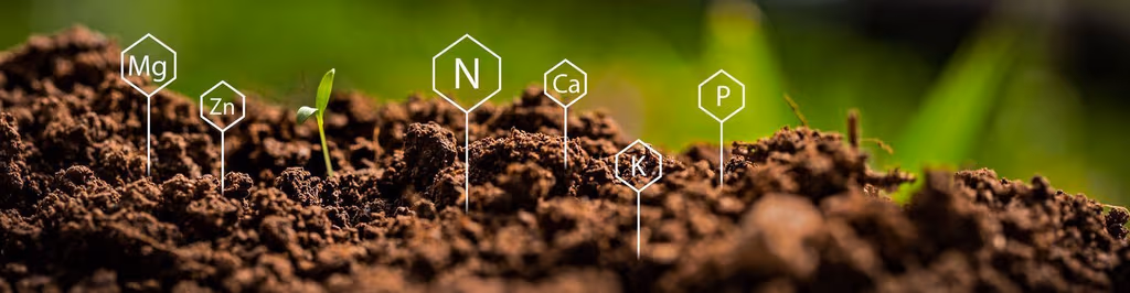 Trouble Growing Thick & Green Grass? The Problem Might Be Your Soil