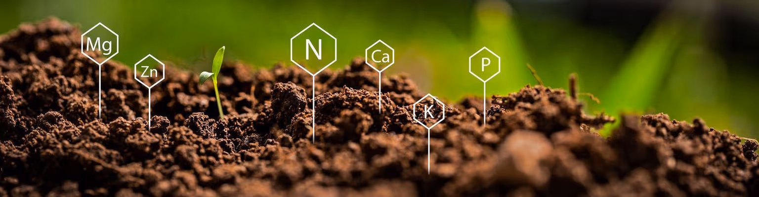 Trouble Growing Thick & Green Grass? The Problem Might Be Your Soil