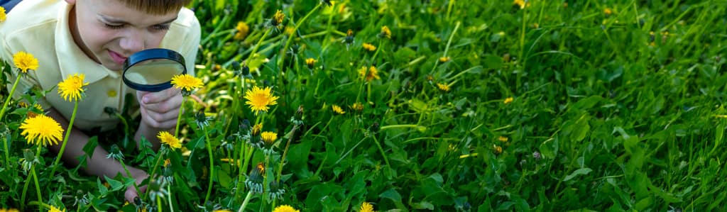 First Summer With Weeds? Bad News. They Will (Probably) Be Back
