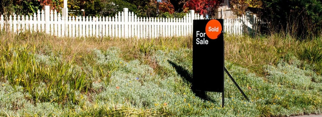 New House, Bad Lawn? Lawn Care Tips Every New Homeowner Should Know