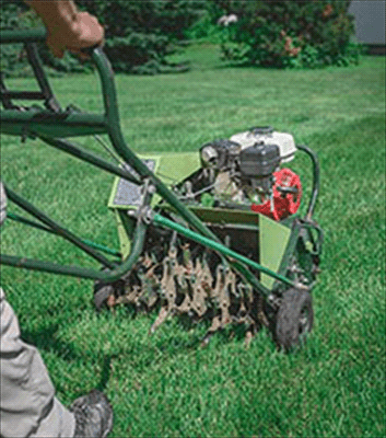 5 Major Ways Professional Lawn Care Makes Your Life Easier