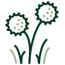 Weed Control Icon