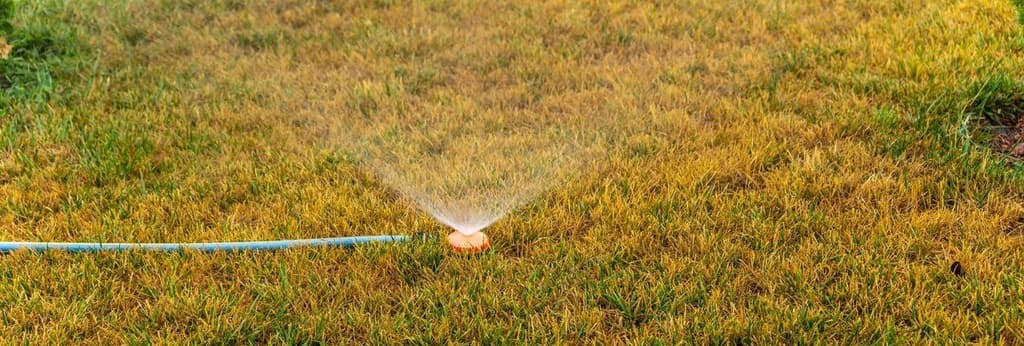 Is July Too Late to Start Taking Lawn Care Seriously?