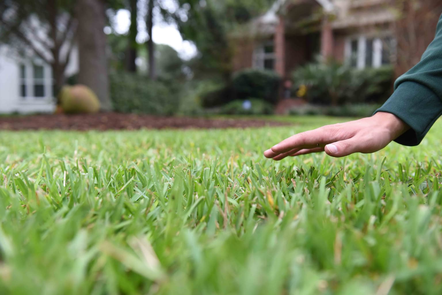 The Lawn Experts: What Is an Agronomist?