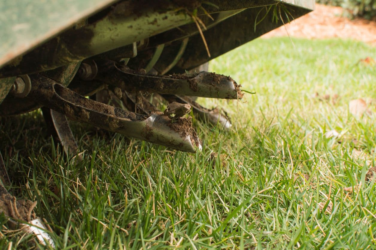 After Aeration: How To Get The Best Results From Your Aeration Service