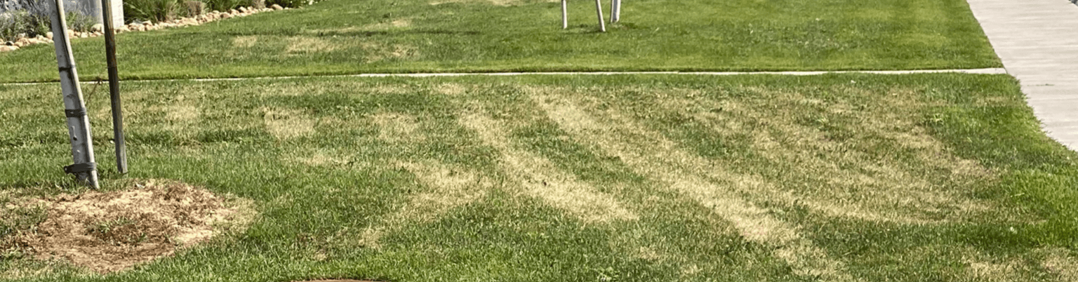 Why Does My Lawn Have Yellow Tire Marks?