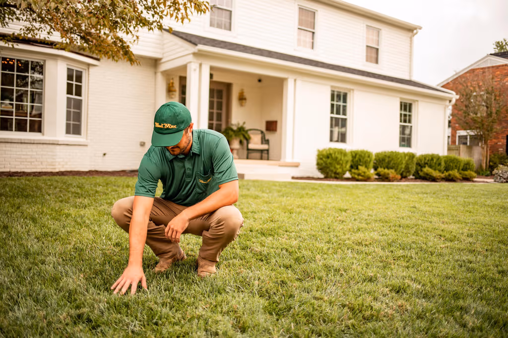 Connaissez-vous la garantie de satisfaction Weed Man?
