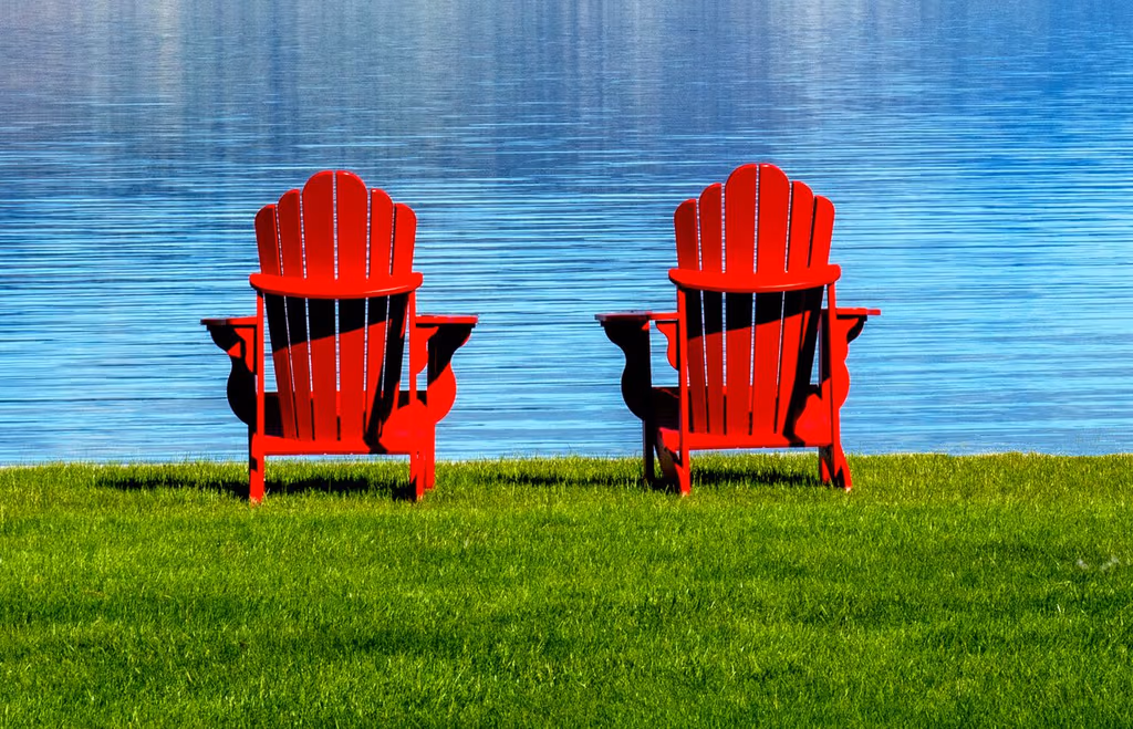 5 Common Lawn Problems in Muskoka, Haliburton, & Parry Sound (Solved)