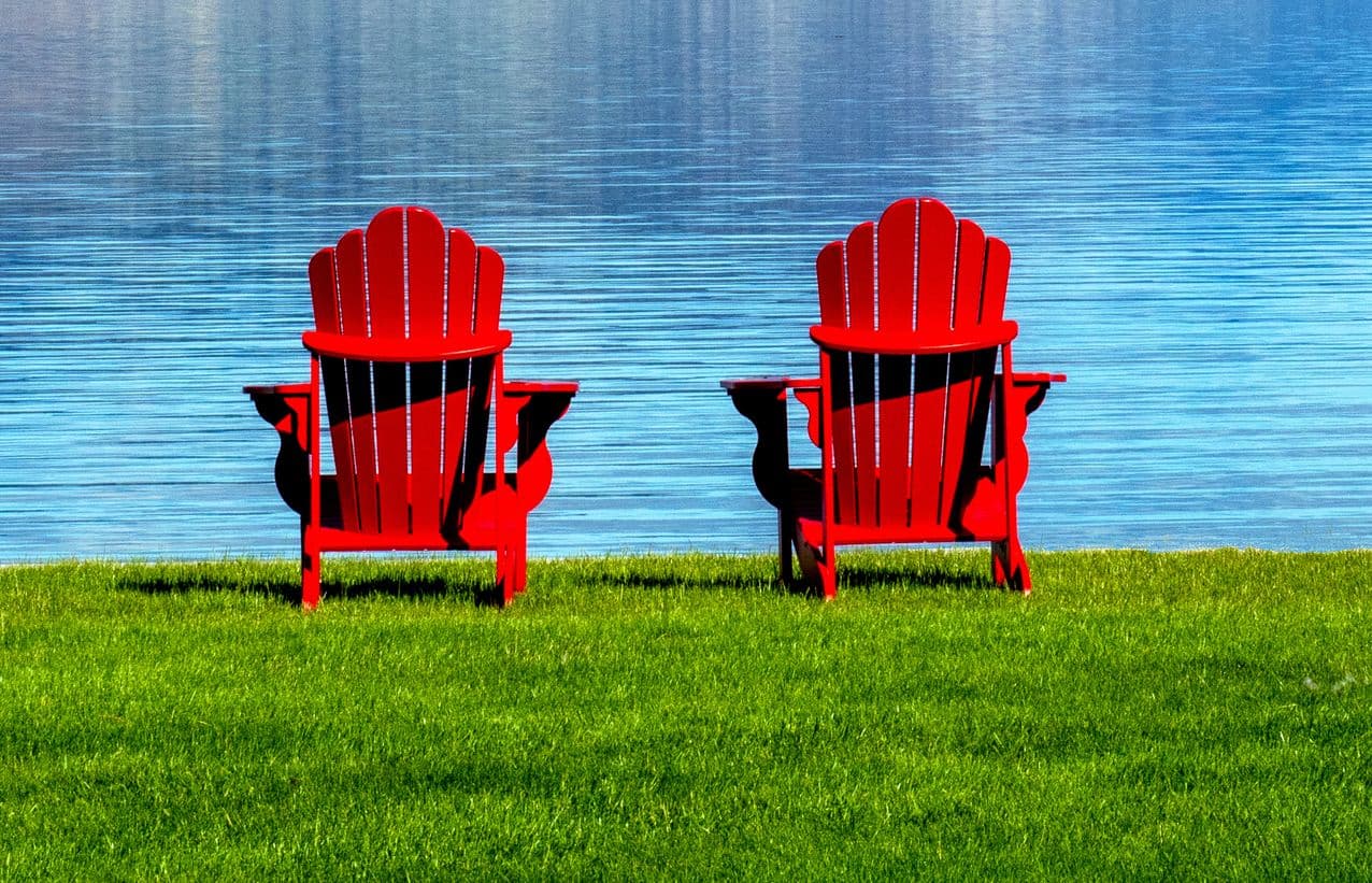 5 Common Lawn Problems in Muskoka, Haliburton, & Parry Sound (Solved)