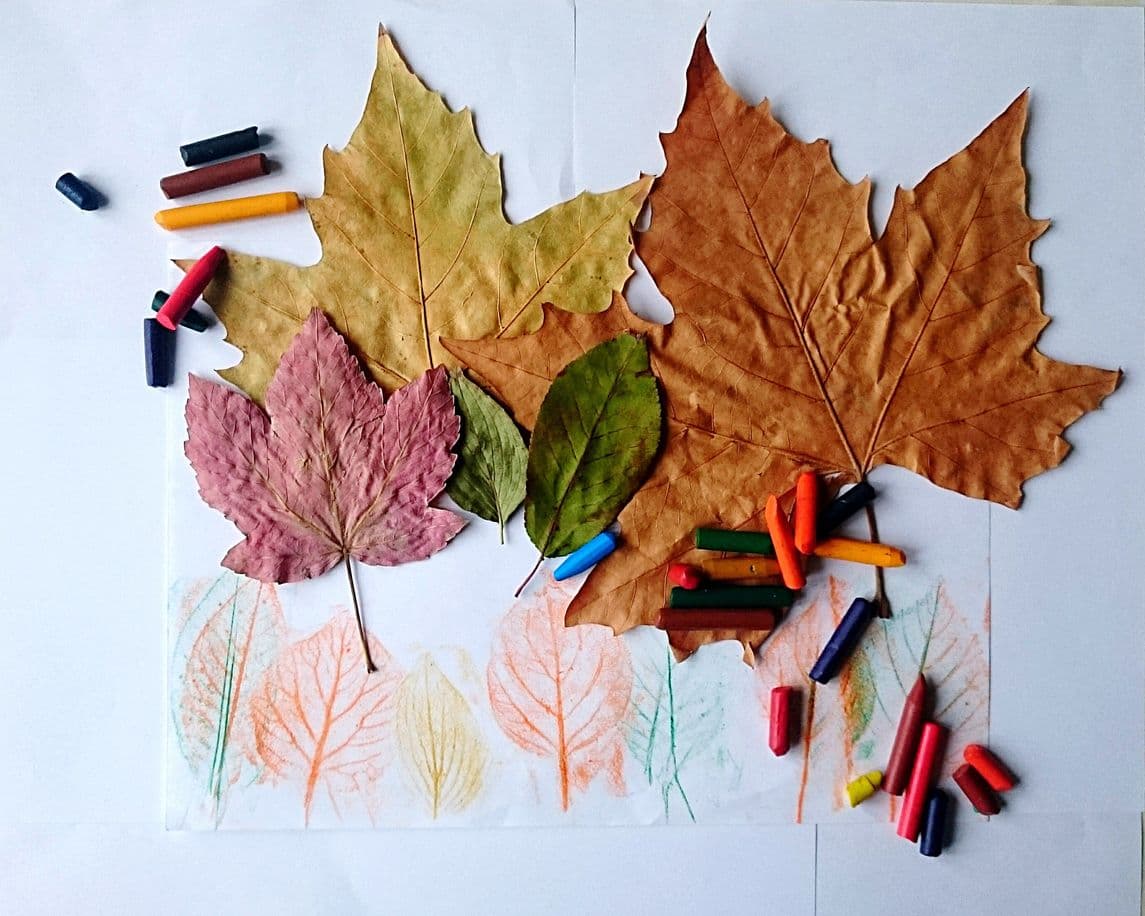 This Leaf Rubbing Craft Is an Autumn Activity the Whole Family will Fall For!