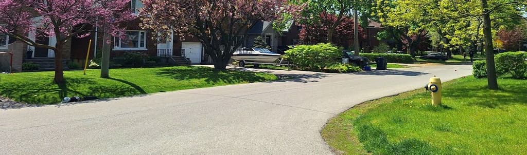 Troublesome Weeds in The Maritimes