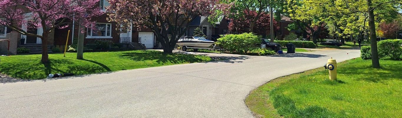 Troublesome Weeds in The Maritimes