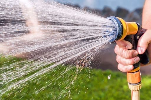 Best Watering Practices to Beat the Summer Heat