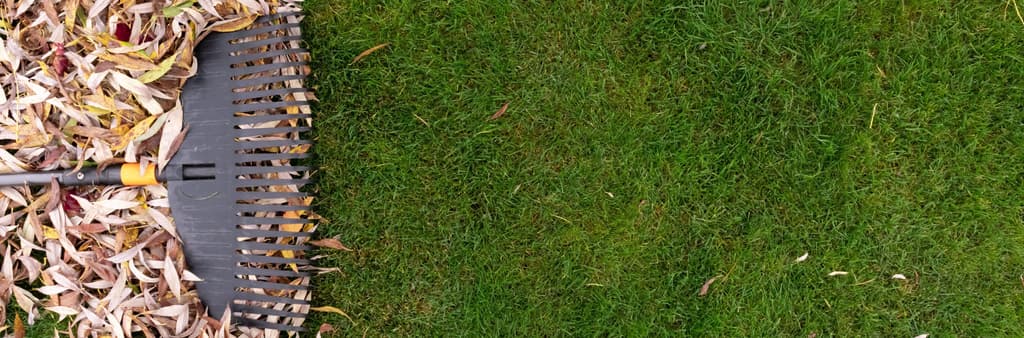 October Is the New August: How Longer Growing Seasons Change Lawn Care