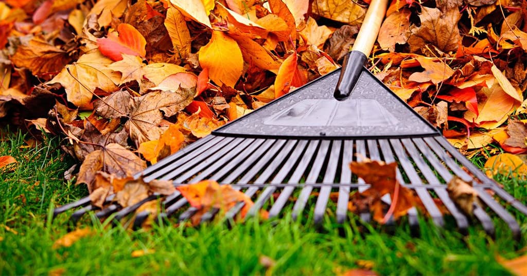 L’automne est à nos portes : préparez votre pelouse pour l’an prochain
