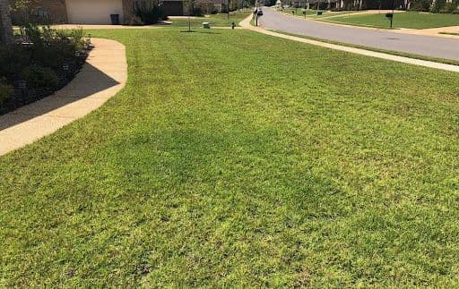 CENTIPEDEGRASS DECLINE - Resource Image