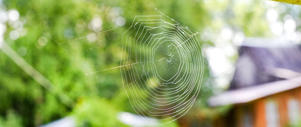Nouveau! Un service pour éloigner les insectes